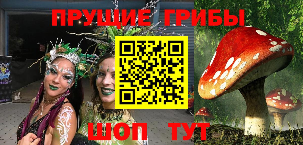 Псилоцибиновые грибы мицелий  Вход с VPN  Подольск  Галлюциногенные грибы Psilocybe 