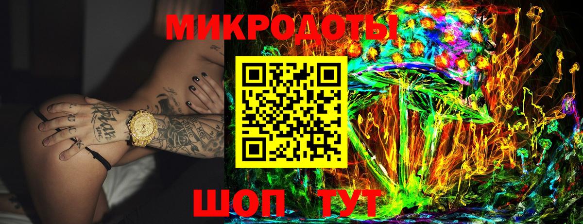 Псилоцибиновые грибы Psilocybine cubensis Подольск